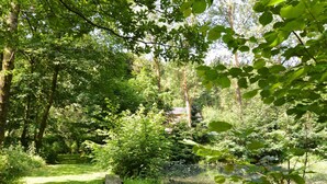 A lush green forest with a clear path, a small pond, and a stone bridge. - Family Villa With Garden (Bouillon)