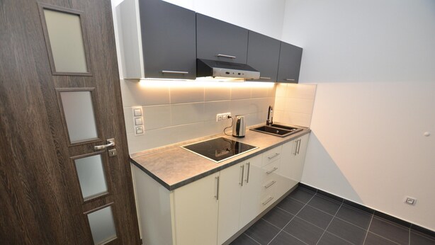A modern kitchen with a built-in oven, a sink, and a countertop. - Cozy Forest Adventure Stay (Zelezna Ruda)