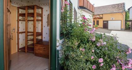 Lovely Holiday Accommodation in Rennsteig With Covered Terrace and Garden