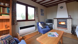 A cozy living room with a fireplace, a television, and a bookshelf.