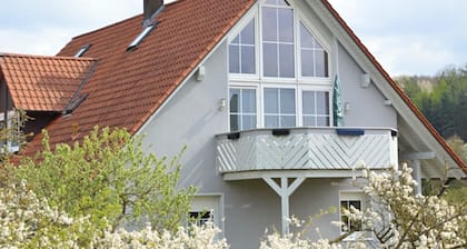 Comfortable Holiday Home in Hollstadt