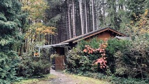 Un chalet rustique entouré d’une forêt dense.