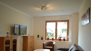 Ein Wohnzimmer mit einer Couch, einem Holzkasten, einem kleinen Tisch und einem an der Wand befestigten Fernseher. Ein Fenster mit Blumentöpfen auf der Fensterbank.