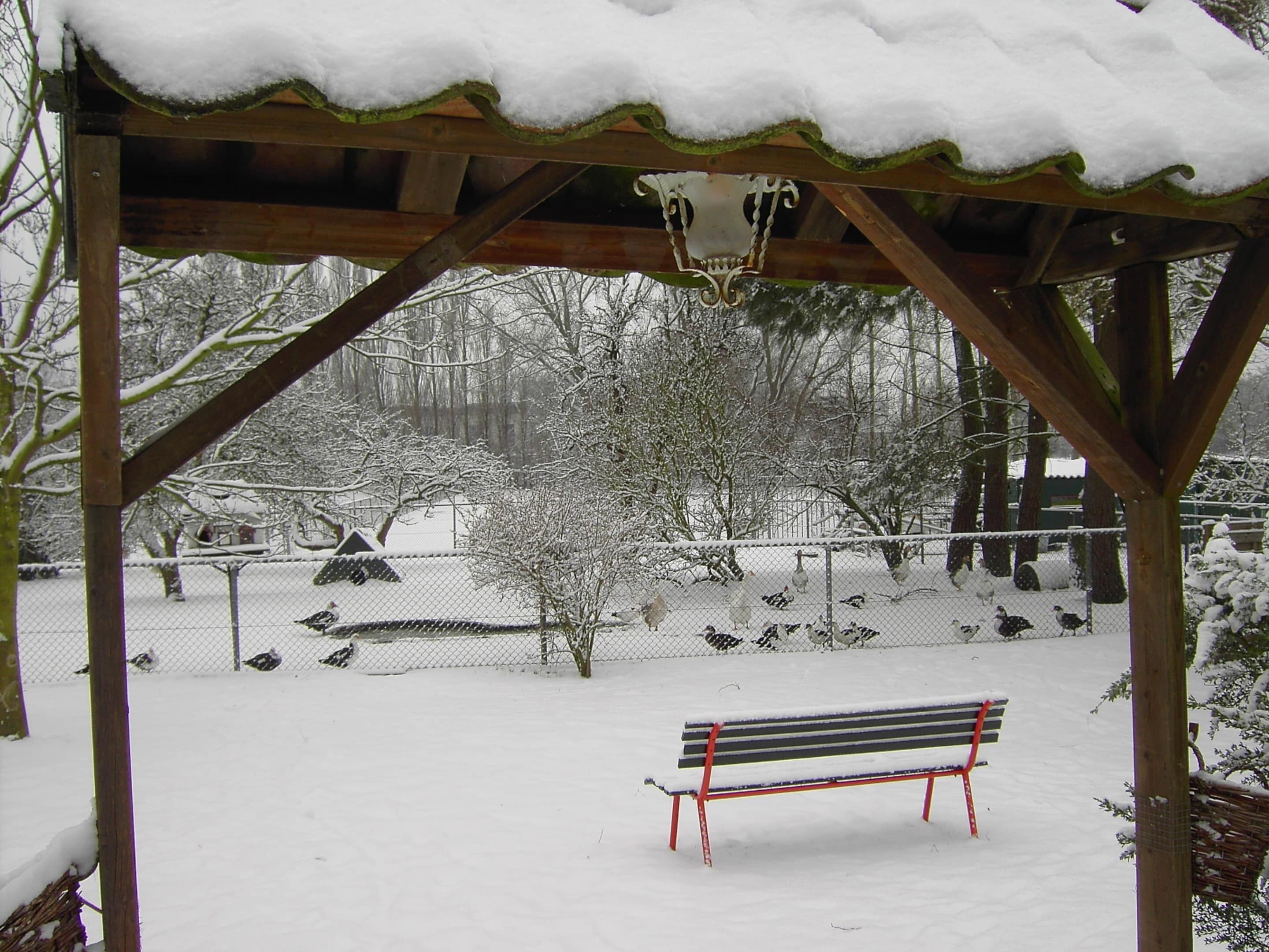 A wooden gazebo with a bench in the center, surrounded by a snow-covered area with trees and a fence.
