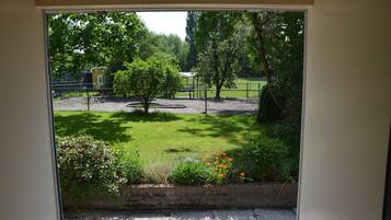 House | View from property