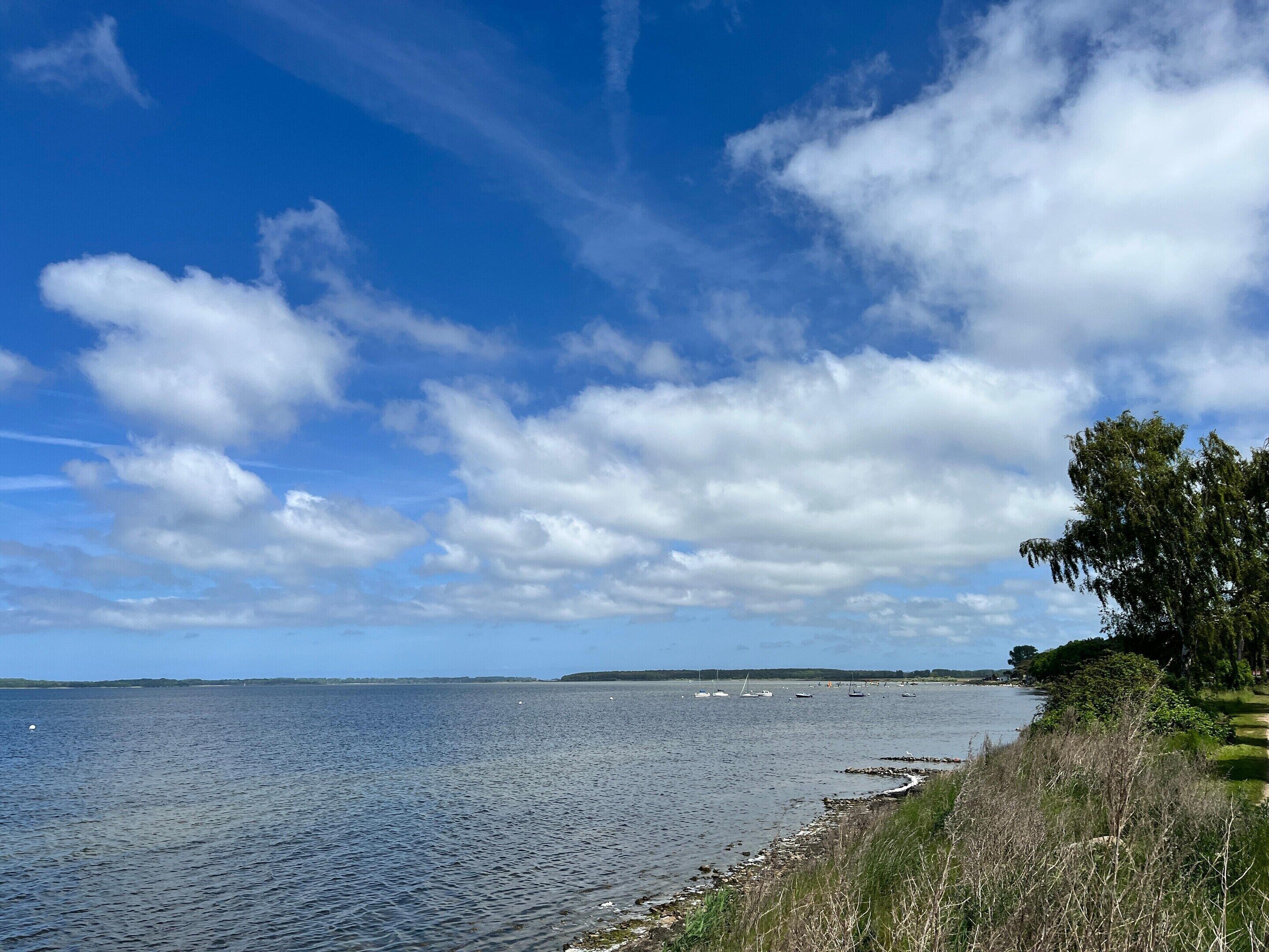 A calm body of water with boats, a clear sky, and a grassy shoreline.