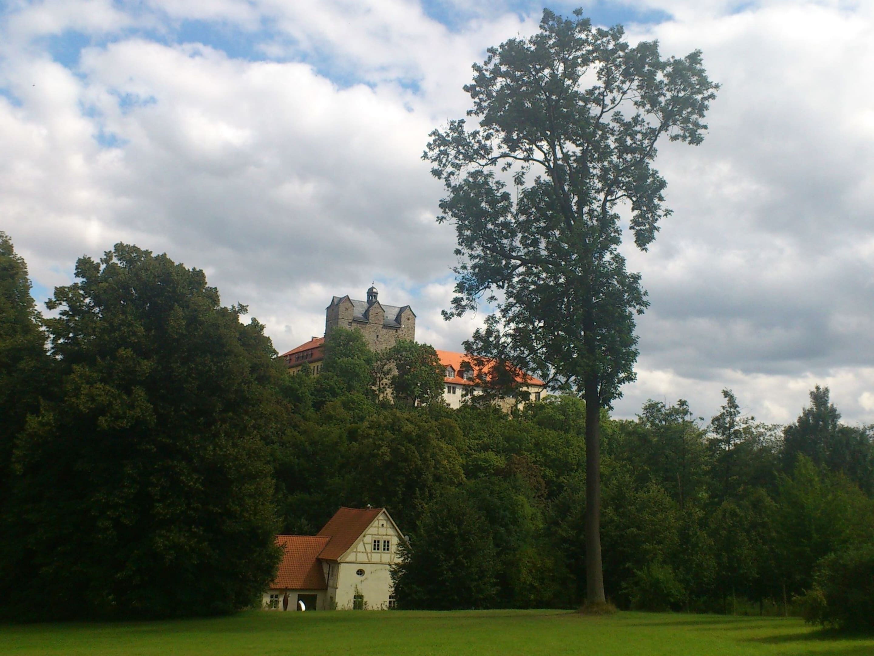 A historic building with a red roof, surrounded by lush greenery and a large tree in the foreground.
