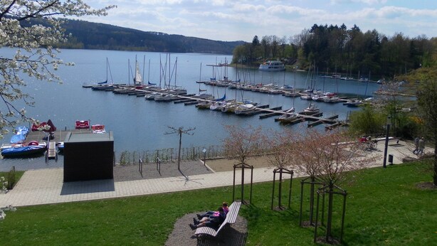 A marina with boats docked, a grassy area with a bench, and a lake with trees in the background. - Seeblick-flucht in Langscheid (Sundern)