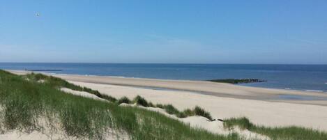 A beach with sand dunes and a clear sky.