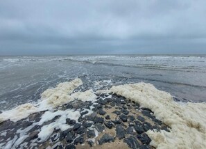 Apartment | View from property - Apartment in North Holland Near Beach (Callantsoog)