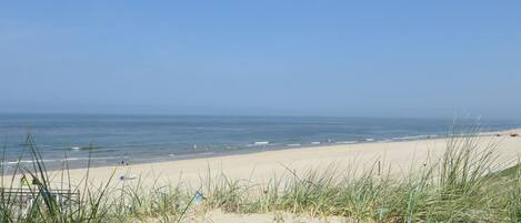 Apartment | Blick von der Unterkunft