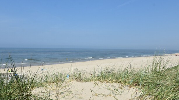 A beach with sand dunes and sparse vegetation. - Apartment in North Holland Near Beach (Callantsoog)