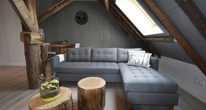 Apartment in North Holland Near Beach