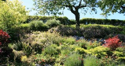Apartment in Willingen Near Ski Slopes