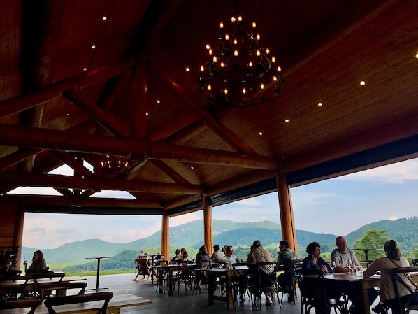 A rustic wooden interior with a chandelier, large windows, and a view of green hills.