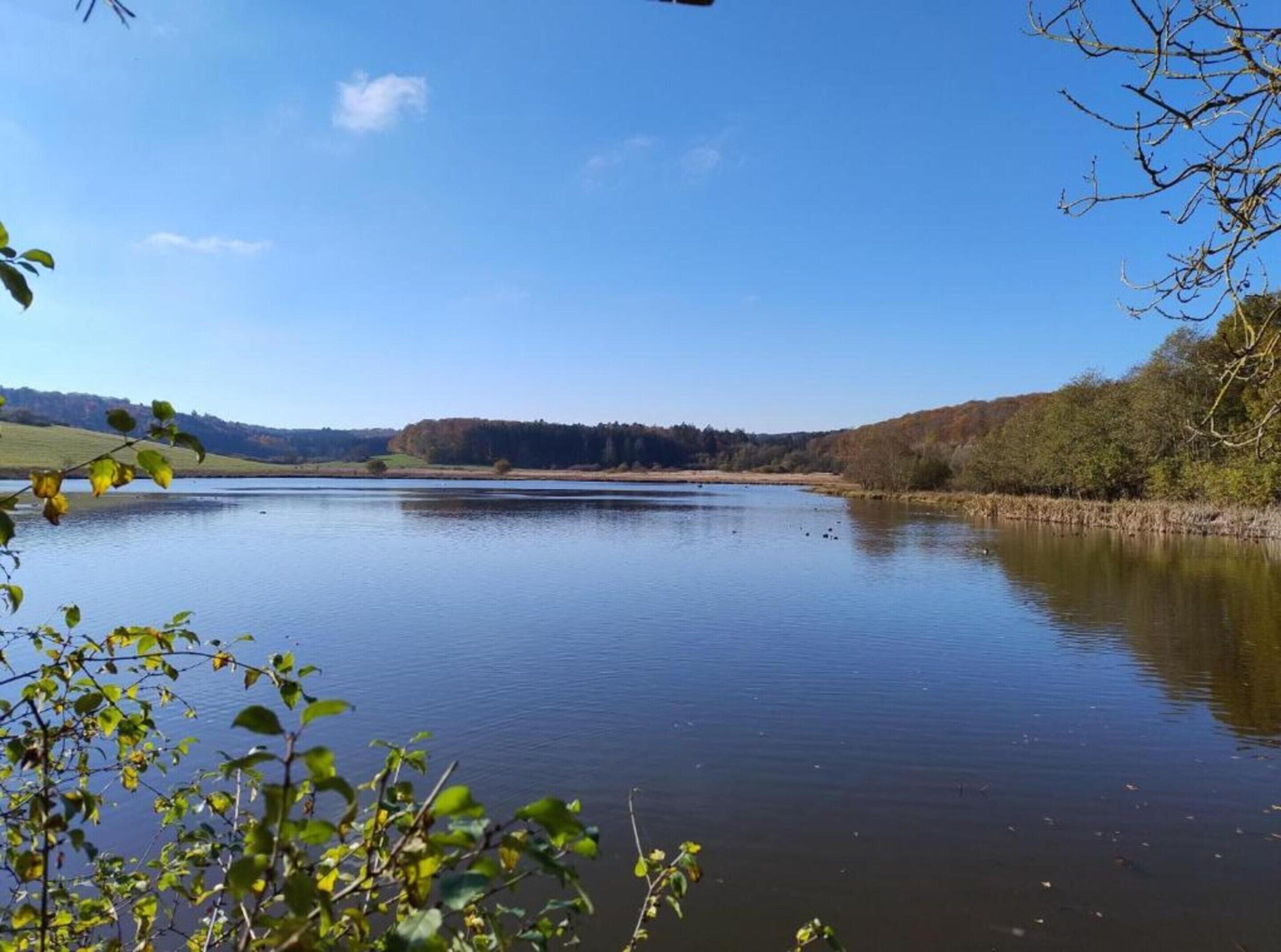 Un lago tranquilo rodeado de árboles y colinas.