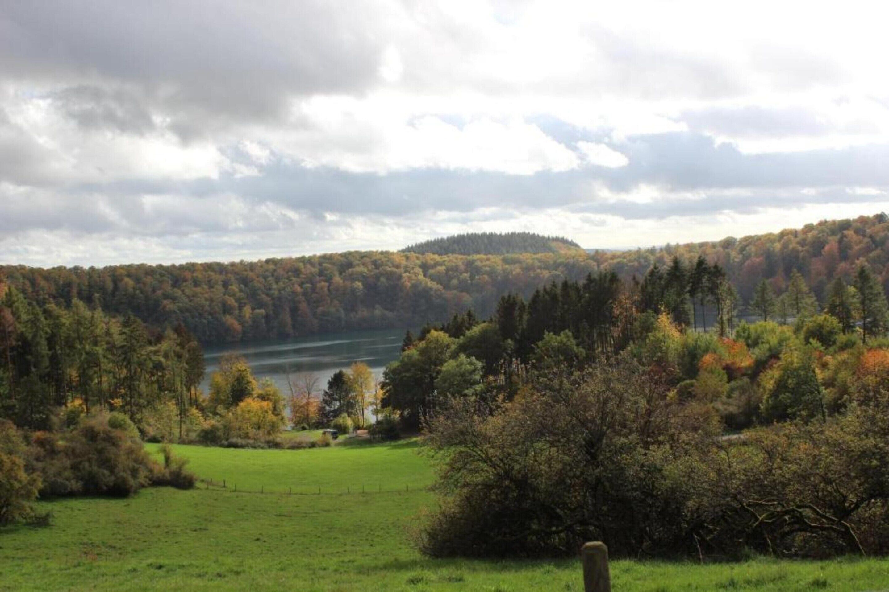 A scenic view of a lake surrounded by trees and a grassy field.