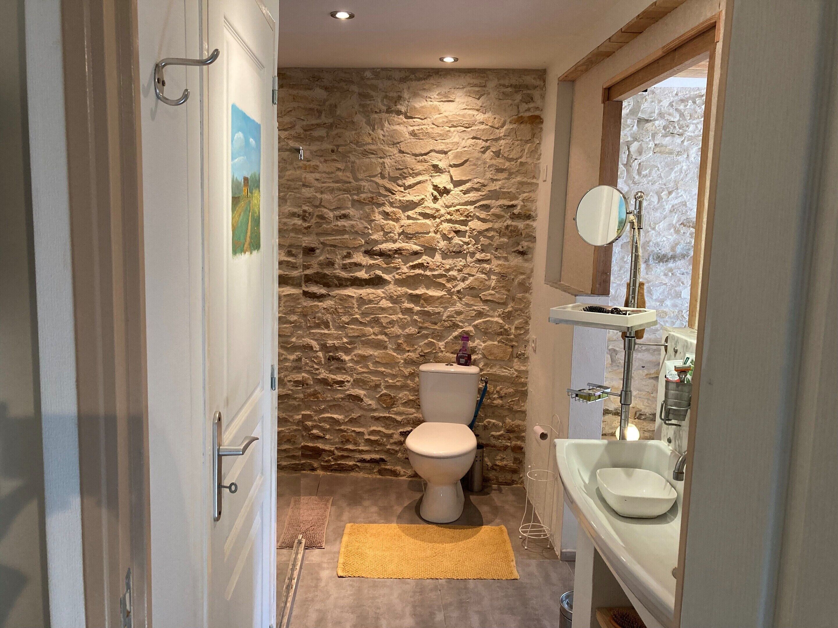 Een badkamer met een stenen muur, toilet, wastafel en spiegel.