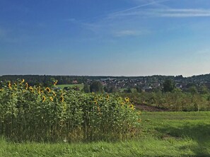Apartment | View from property - Apartment Marianne in Black Forest for 4 Person (Neuweiler)