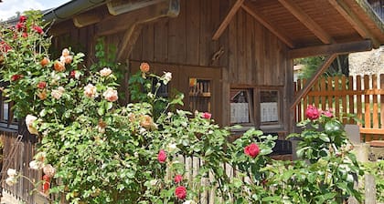 Family-friendly Tretting Home