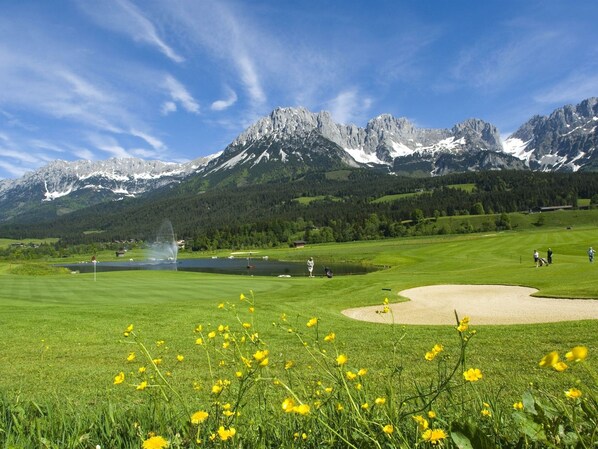 Apartment | View from property - Apartment in Tirol With Private Garden (Kirchberg in Tirol)
