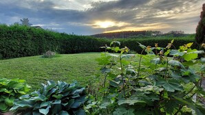 A well-maintained garden with a variety of plants and a neatly trimmed lawn. - Case Belvene Regio Spa, Theux (Theux)