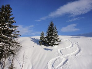 Aussenbereich