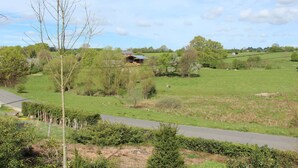 A rural landscape with a road, a small building, and grazing sheep. - Family Retreat With Garden (Tenneville)