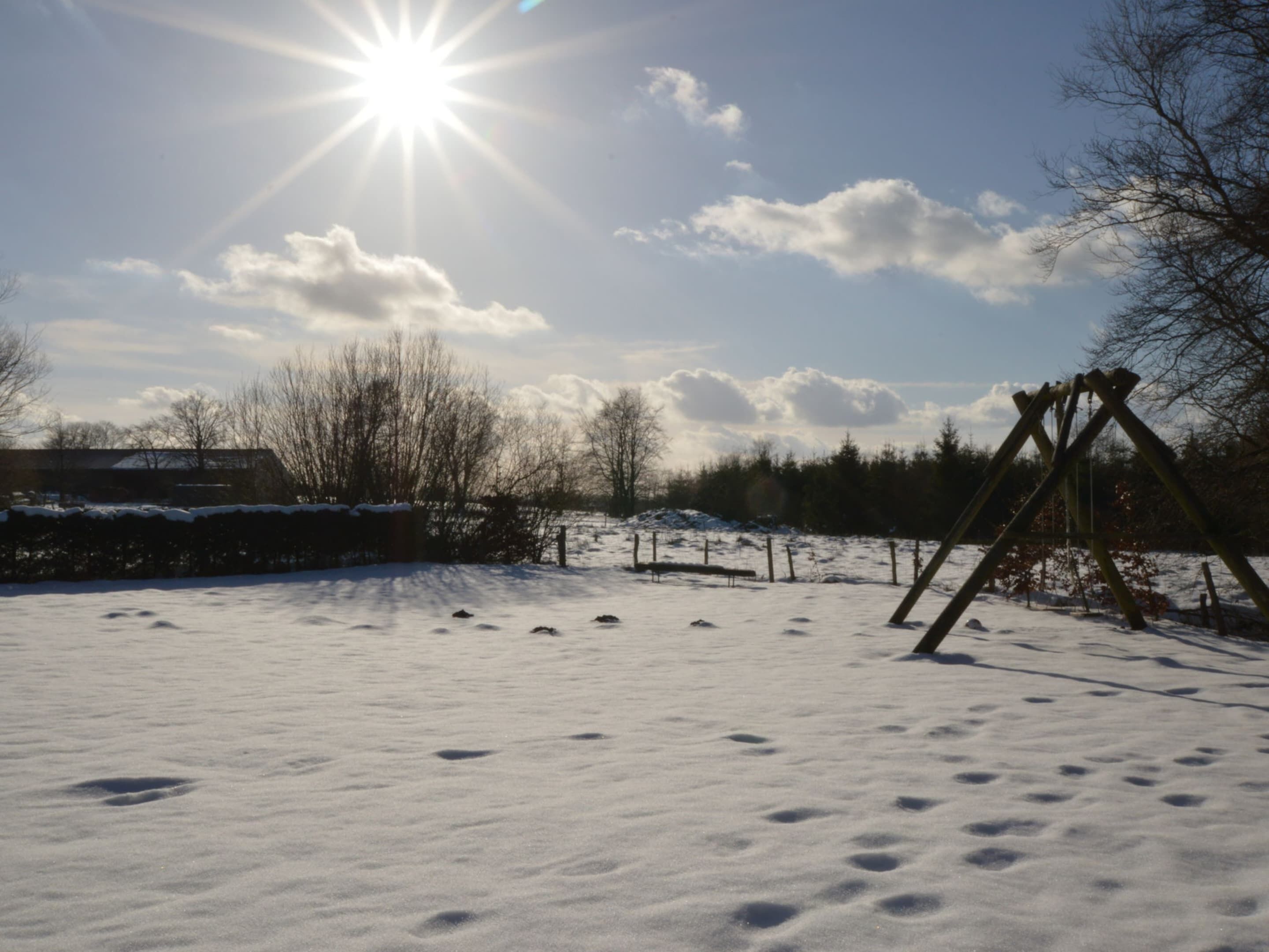 單棟房屋 | 花園