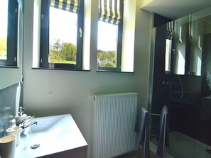 A bathroom with a sink, mirror, shower, and windows.