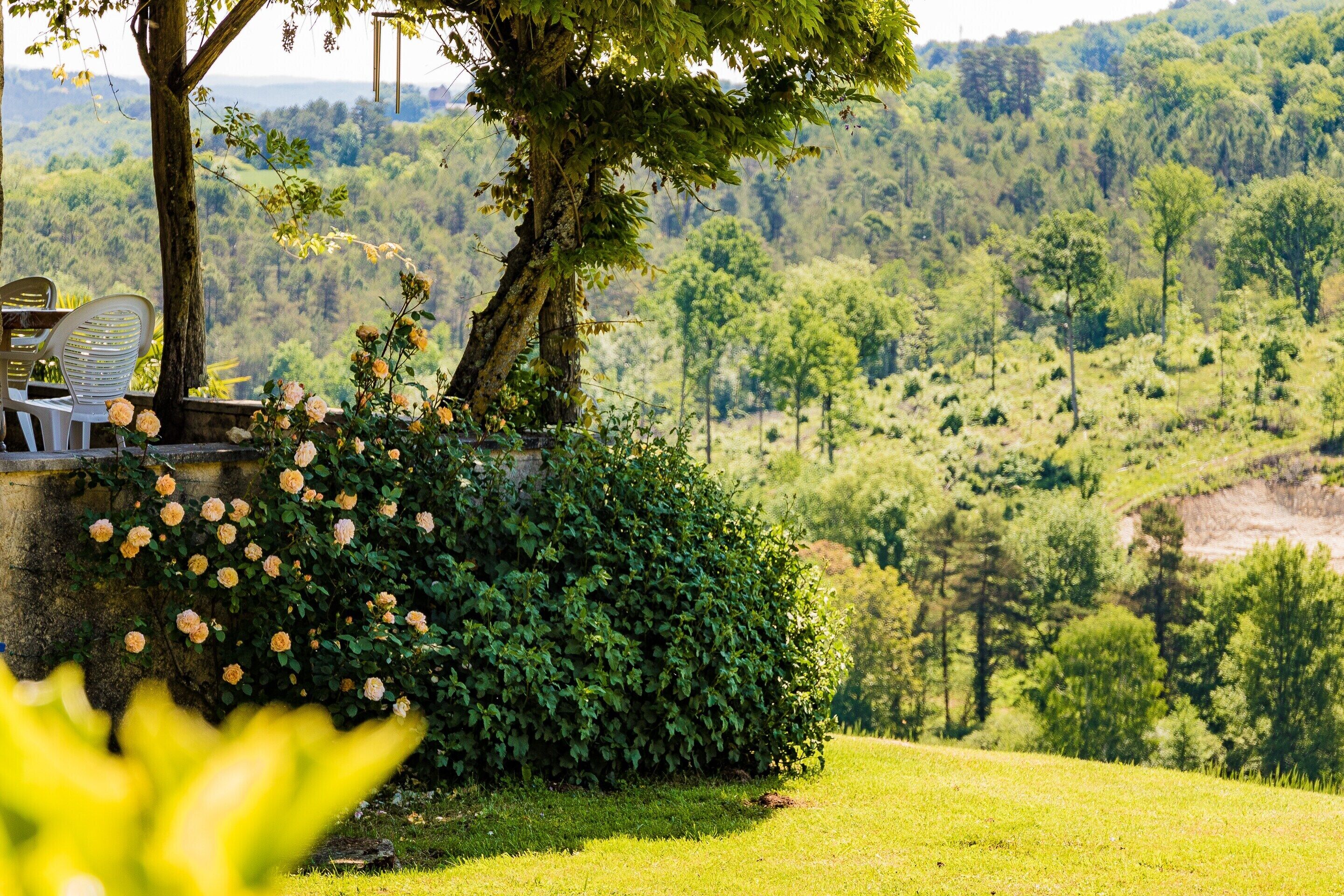Cottage | Pemandangan dari properti