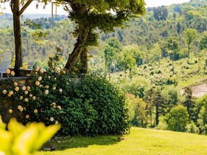 Property grounds - Rustic Chic Country Cottage (Thenon)