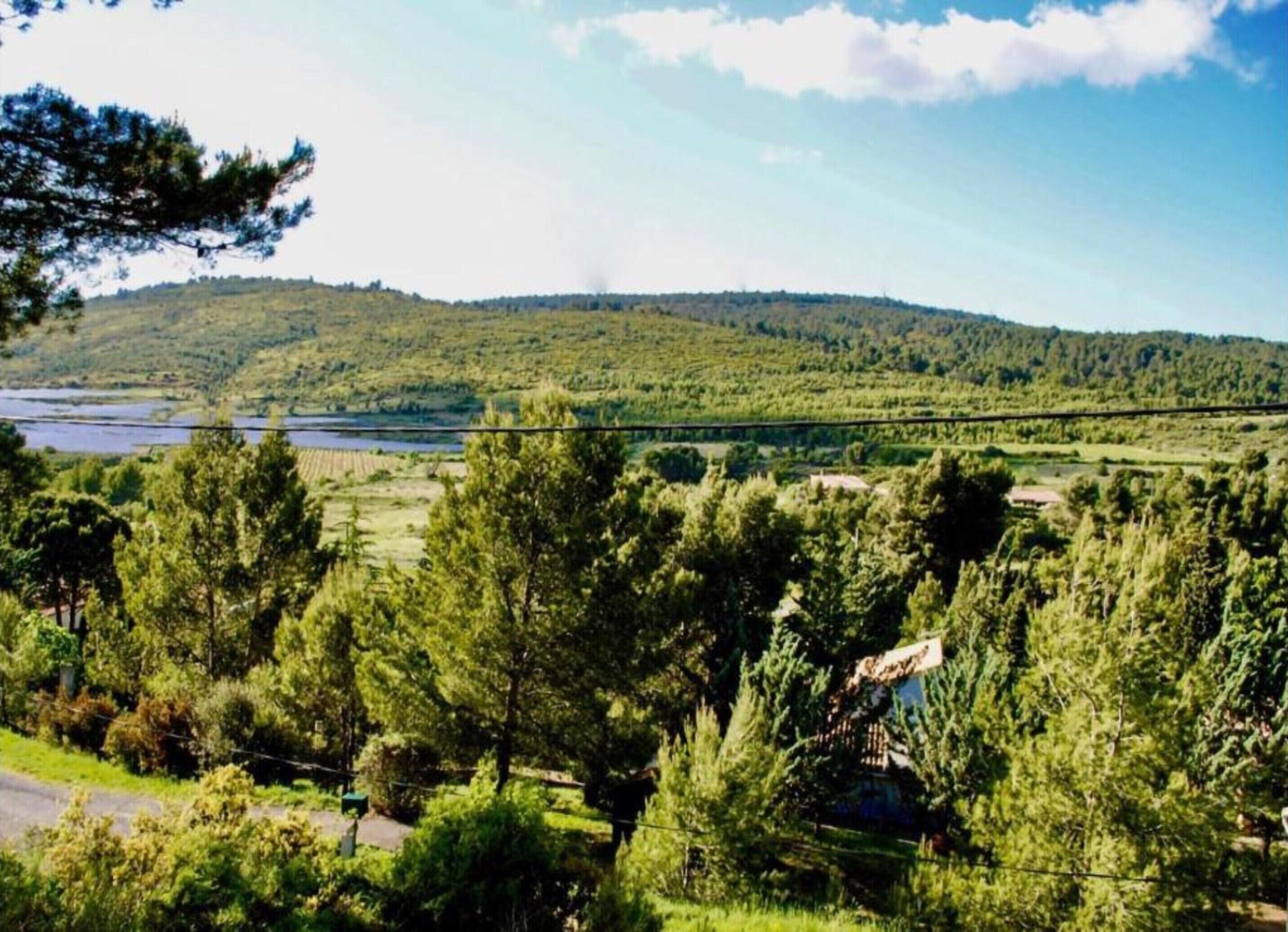 Vista de un paisaje verde exuberante con un río y colinas al fondo.
