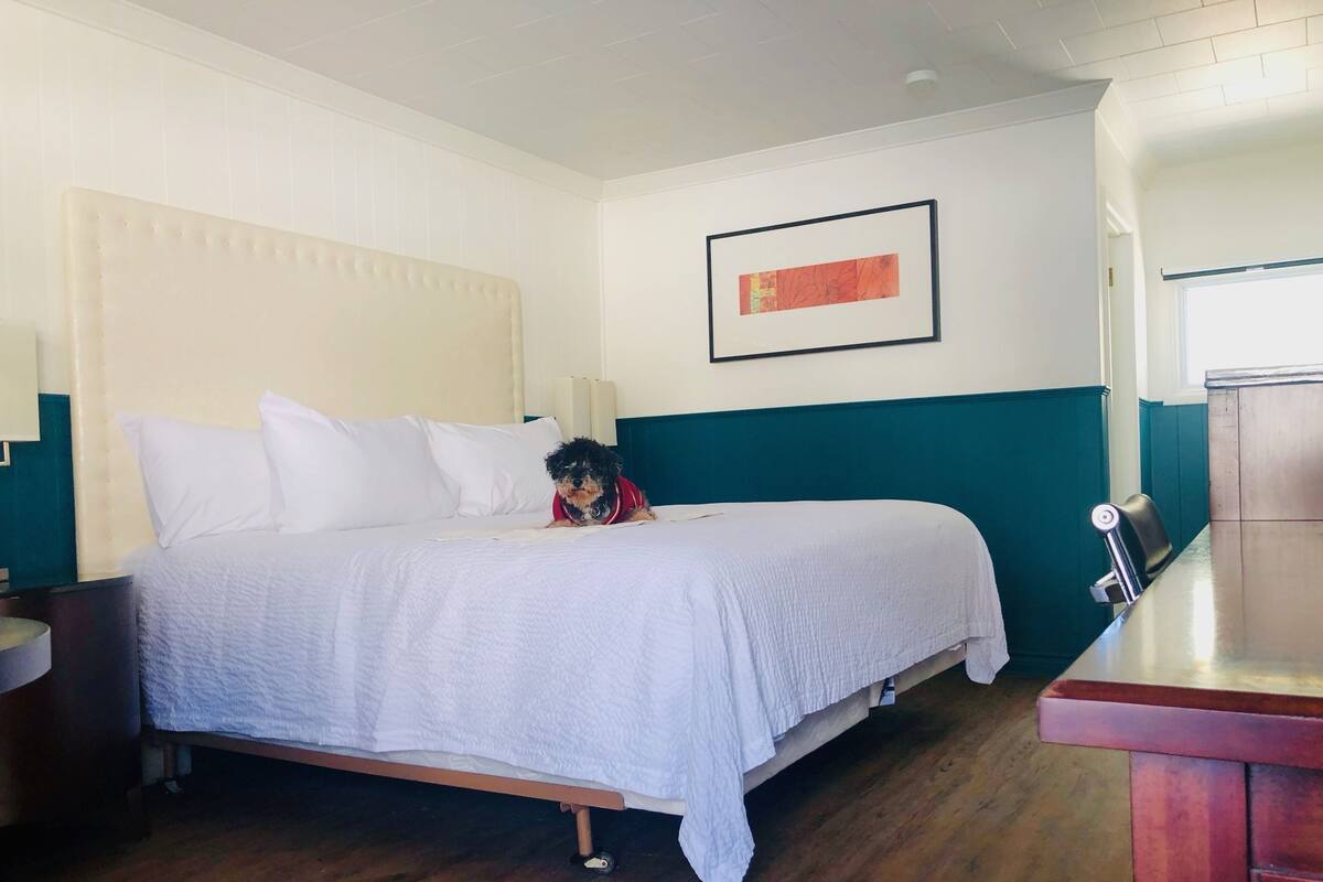Quarto de hotel com cama, mesa de cabeceira, piso de madeira, quadro na parede e janela.