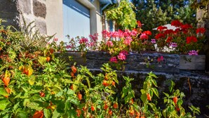 A stone building with a blue door, surrounded by lush greenery and vibrant flowers. - Vic-sur-cere Family Nest (Vic-sur-Cere)