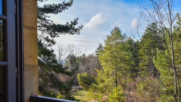 Ferienhaus | Blick von der Unterkunft