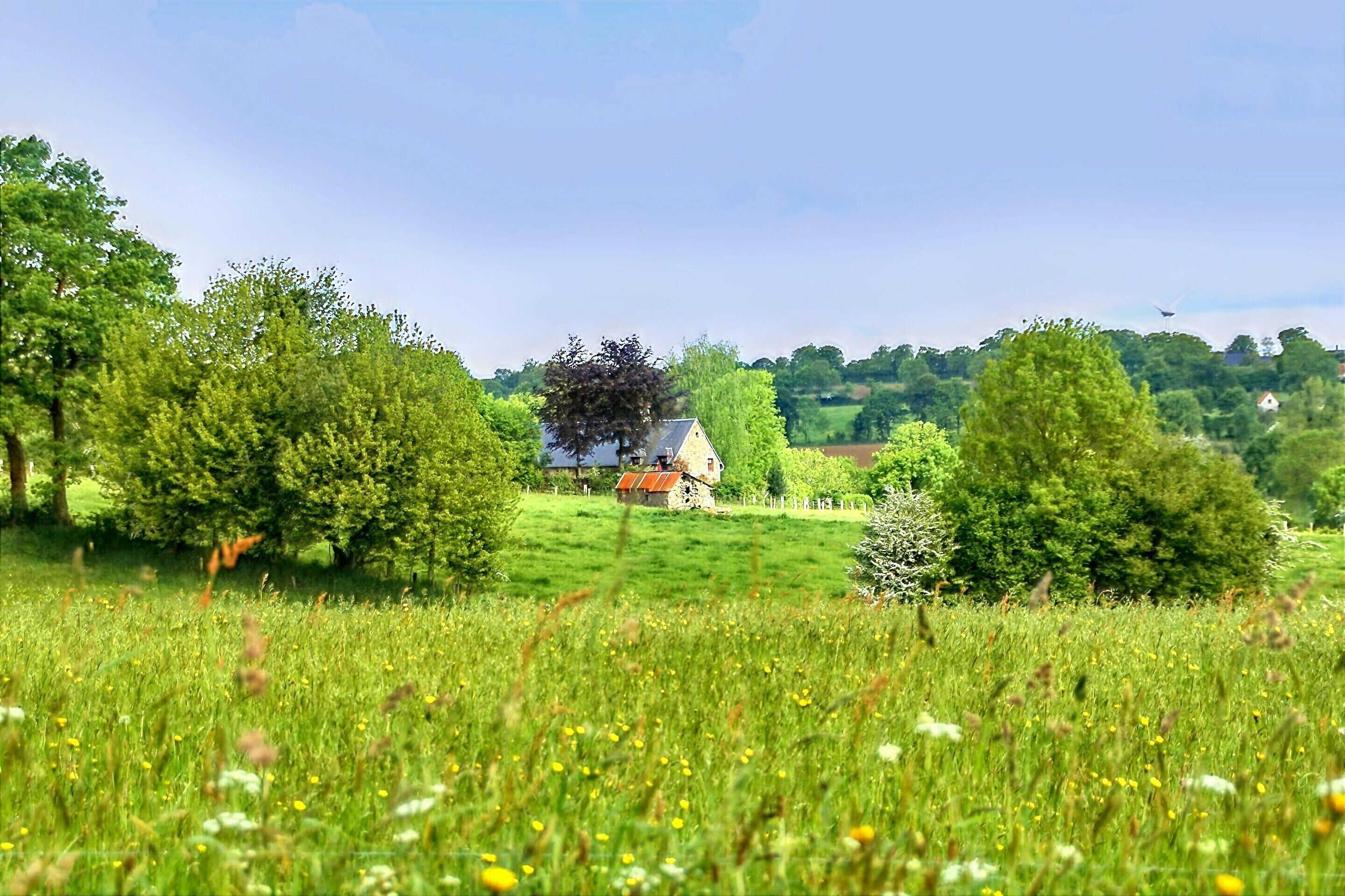 A rural landscape with a house surrounded by trees and a field.