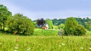 A rural landscape with a house surrounded by trees and a field.