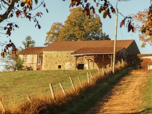 House | Exterior - Forest Hideaway in Saint-caprais (Saint-Caprais)