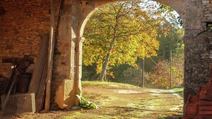 An old stone building with a rustic wooden door and a metal gate. - Forest Hideaway in Saint-caprais (Saint-Caprais)