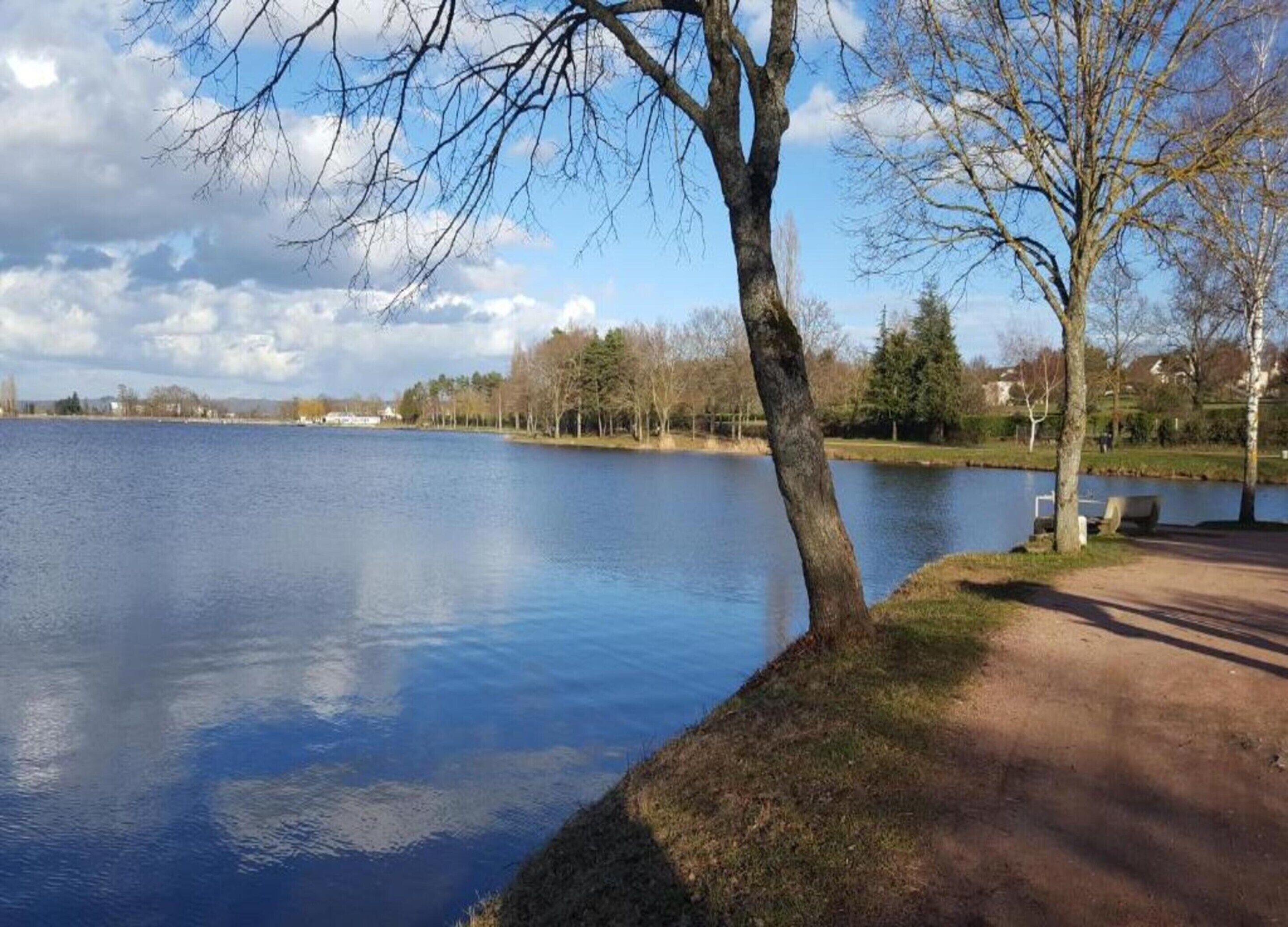 A calm lake with a tree-lined path and benches.