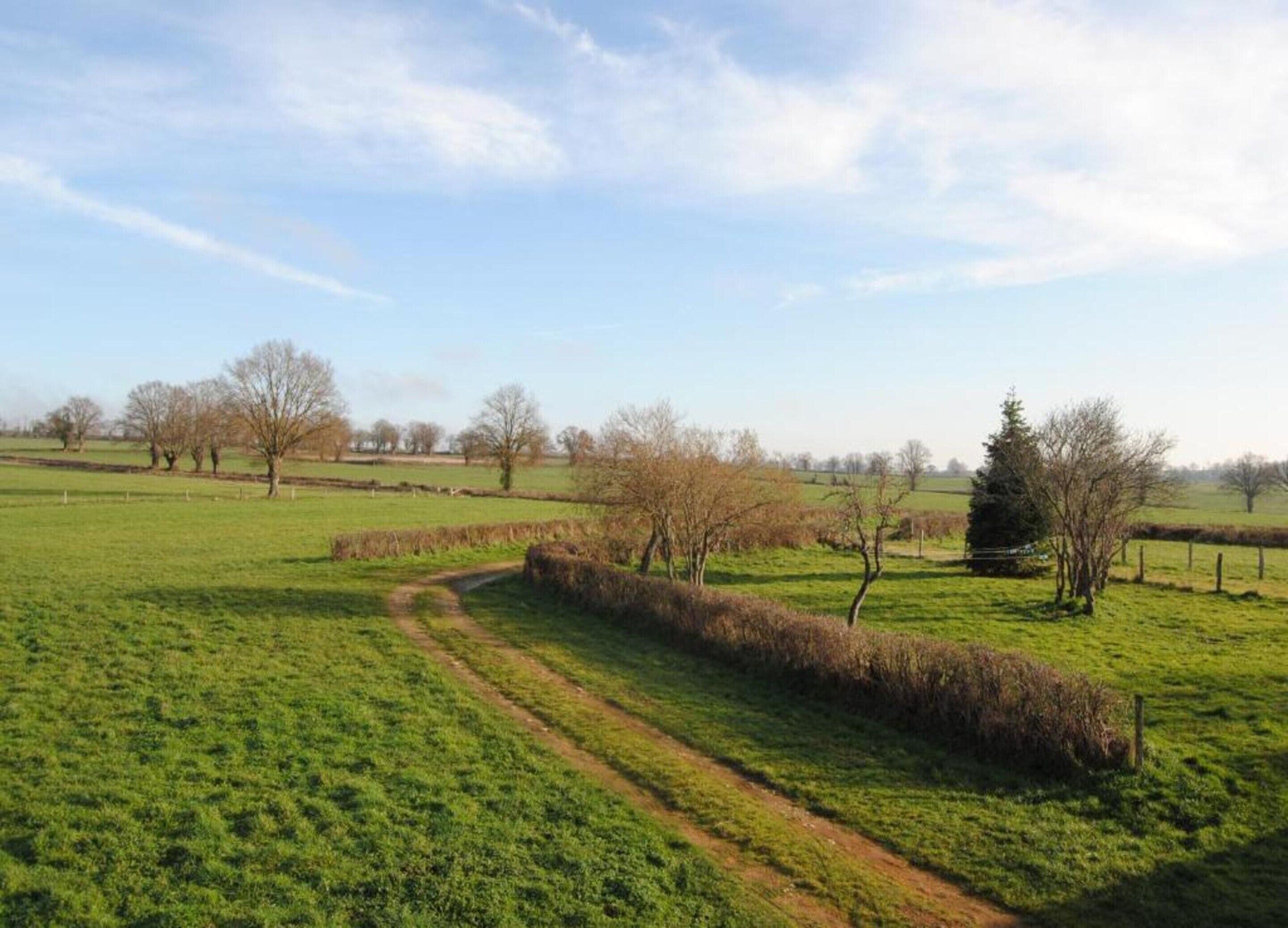 Un paisaje rural con un camino de tierra, campos abiertos y árboles sin hojas.