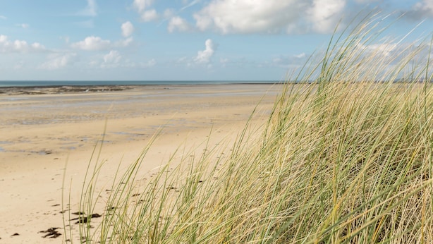 A beach with sand dunes and a clear sky. - Saint-germain Beach Bliss (Saint-Germain-sur-Ay)