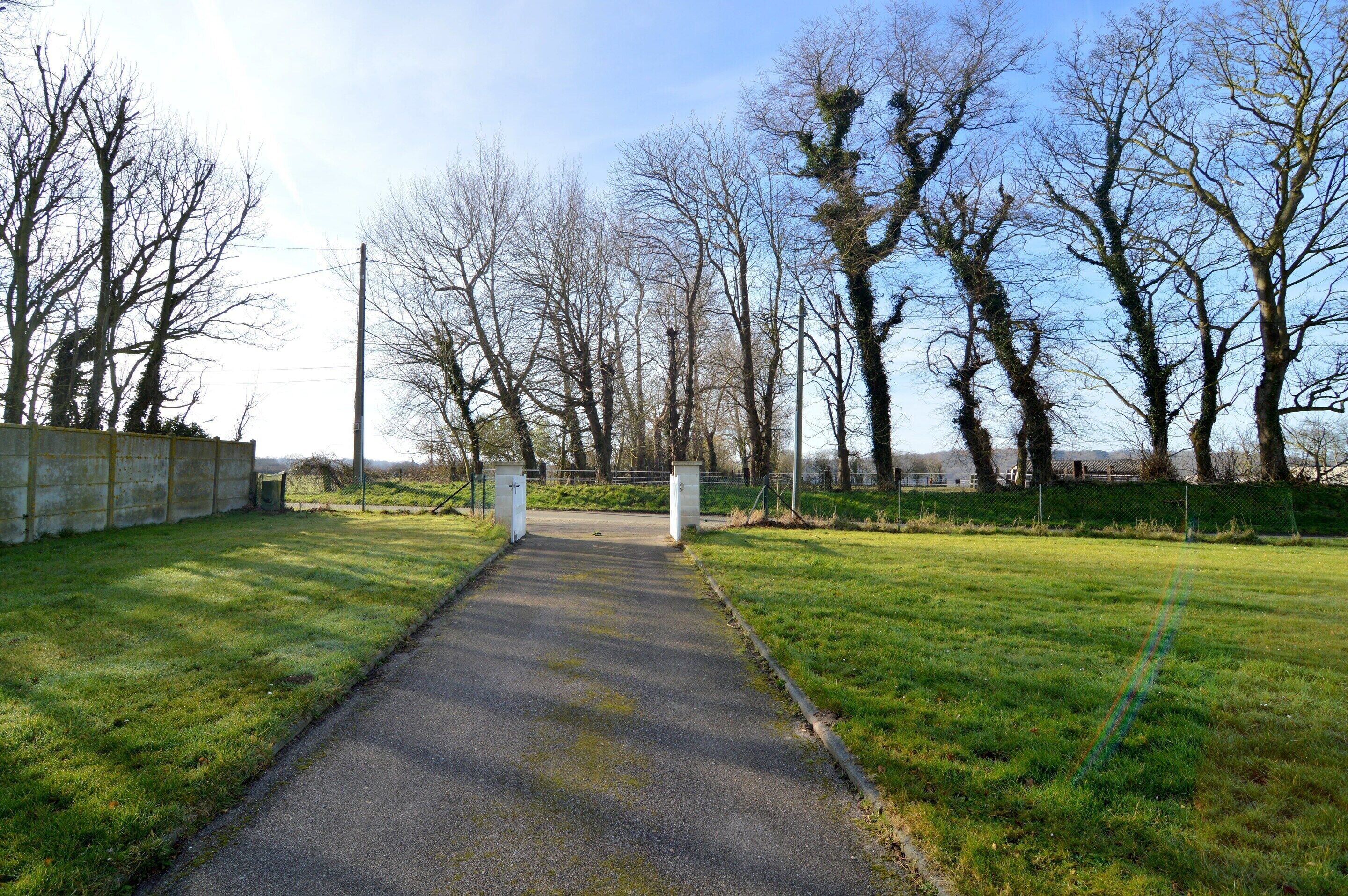獨棟房屋 | 花園
