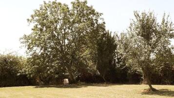 House | View from property