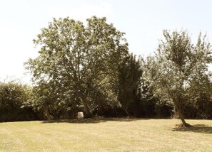 Hus | Utsikt fra overnattingsstedet