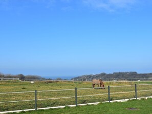 الإطلالة من المنشأة