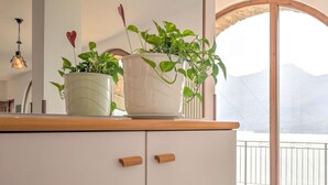 Une cuisine avec deux plantes en pot sur le plan de travail, un comptoir en bois et une vue sur un paysage montagneux par une grande fenêtre.