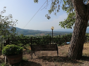 House | View from property