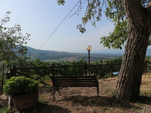 House | View from property